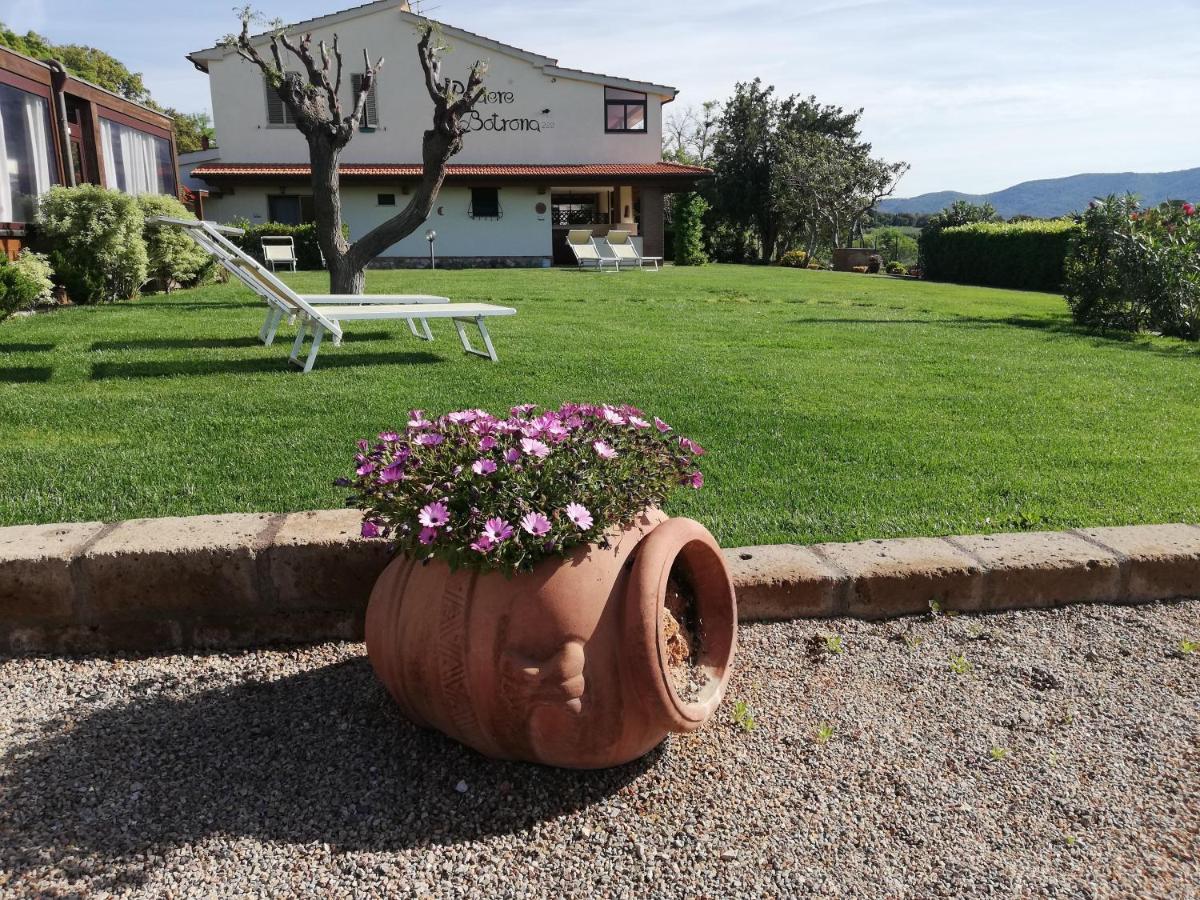 Agriturismo Diaccia Botrona Кастильоне-делла-Пеская Экстерьер фото