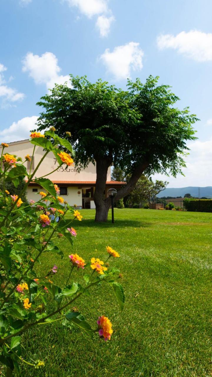 Agriturismo Diaccia Botrona Кастильоне-делла-Пеская Экстерьер фото