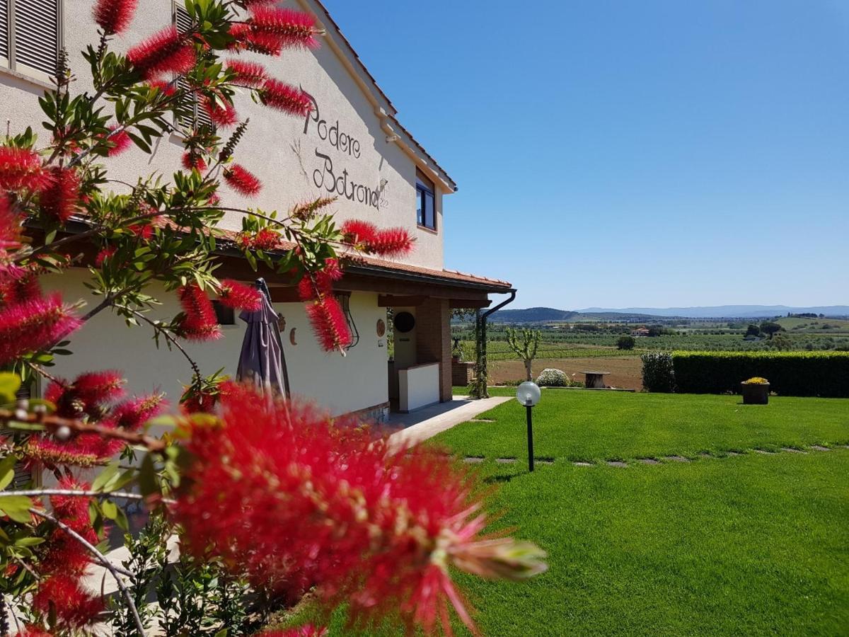 Agriturismo Diaccia Botrona Кастильоне-делла-Пеская Экстерьер фото