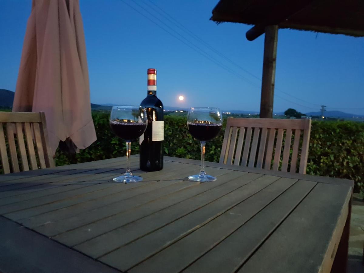 Agriturismo Diaccia Botrona Кастильоне-делла-Пеская Экстерьер фото